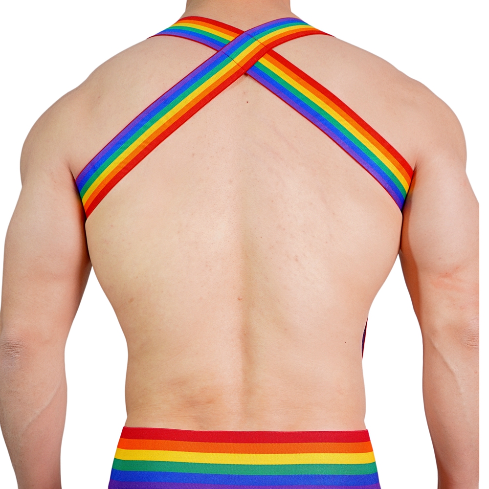 JOCKMAIL Rainbow Body Harness  - Jockstrap Athletic recension och pris